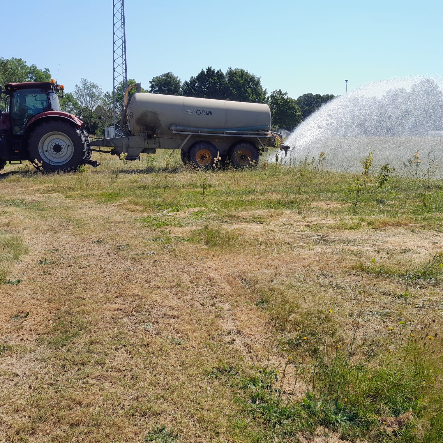 Jack van Birgelen waterton