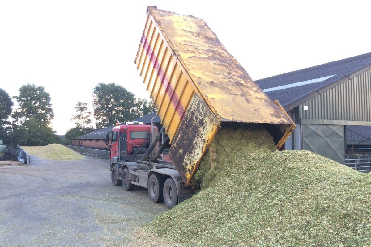 Jack van Birgelen tractor loonwerk oogsten