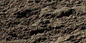 Jack van Birgelen teeltaarde